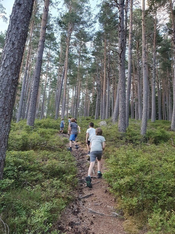 Steile Pfade in der Umgebung