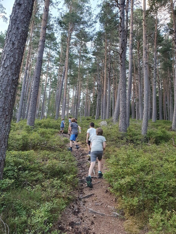 Steile Pfade in der Umgebung