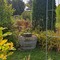 Gartenimpression_2