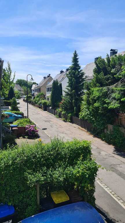 view from the front window to the south