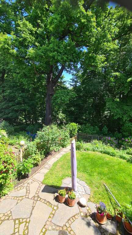 View from the rear window into the park - "Schönherrpark"