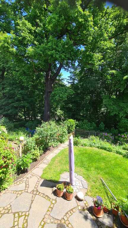 View from the rear window into the park - "Schönherrpark"
