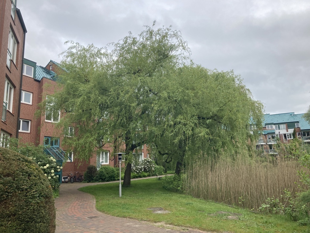 Gelände vor dem Haus