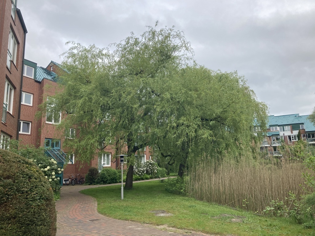 Gelände vor dem Haus