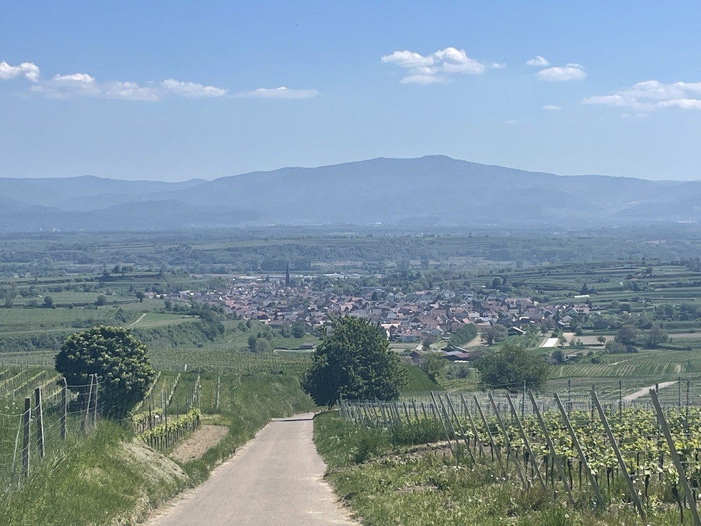 Blick auf Eichstetten