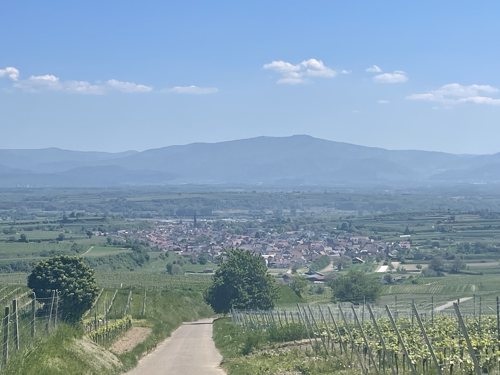 Blick auf den Schwarzwald