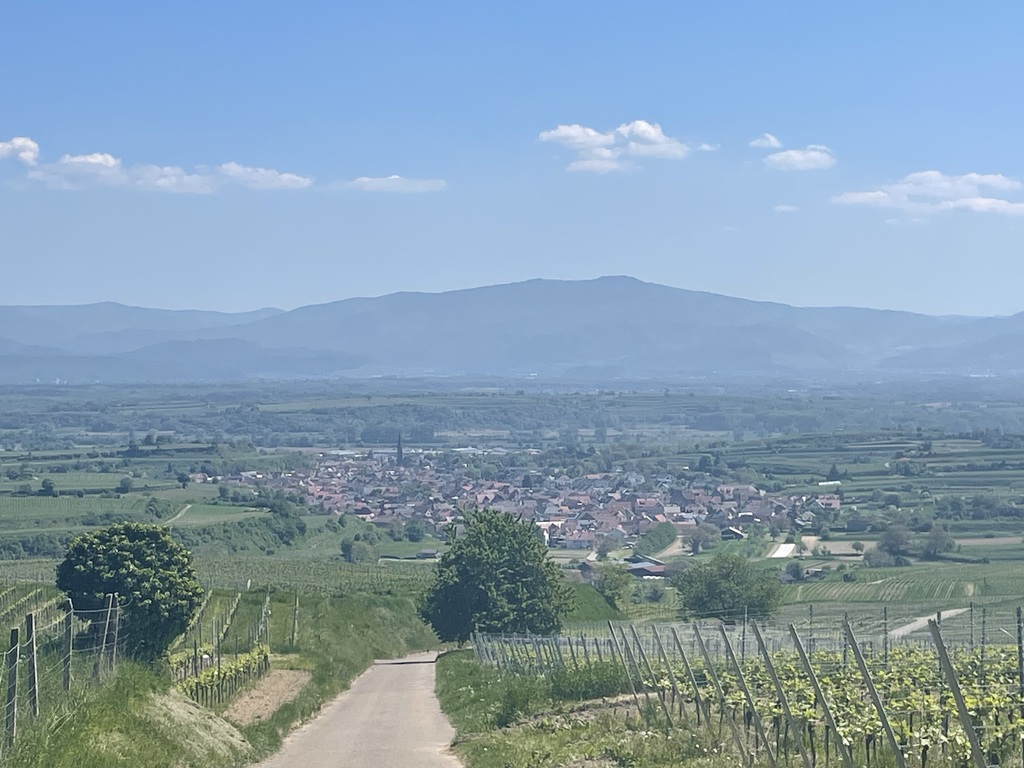 Blick auf den Schwarzwald