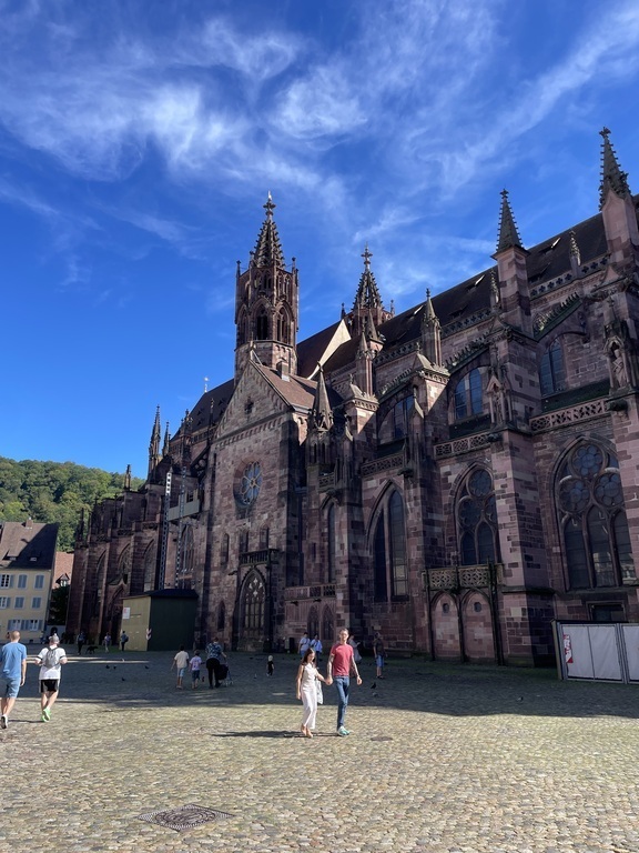 Freiburger Münster