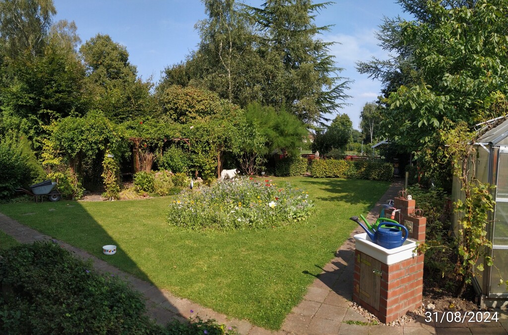 The garden