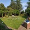 The garden