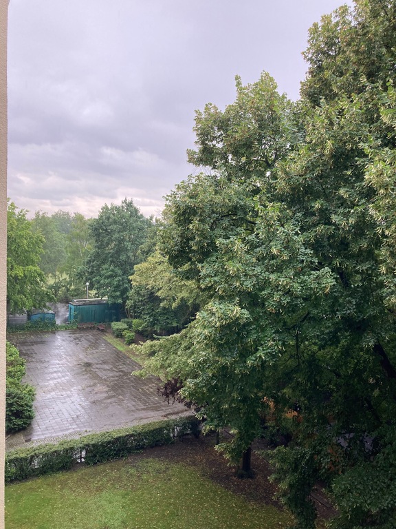 view from the balcony