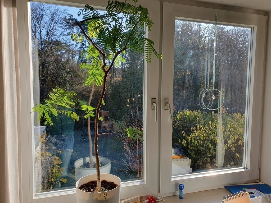 Blick aus dem ersten Stock