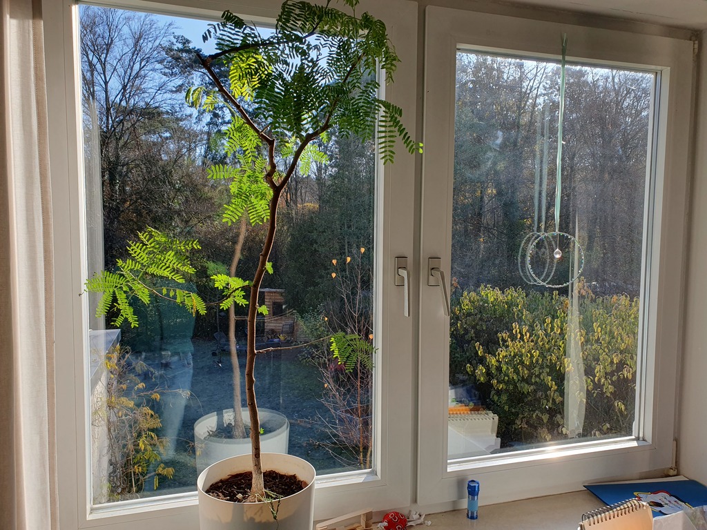 Blick aus dem ersten Stock