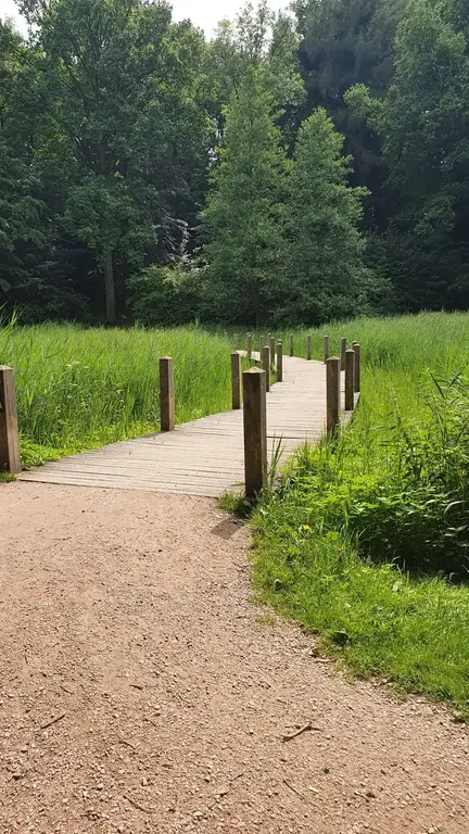 Harburger Stadtpark - 1km from our house