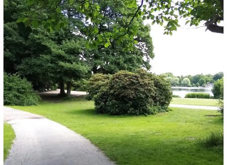 Harburger Stadtpark - 1.5 km from our house