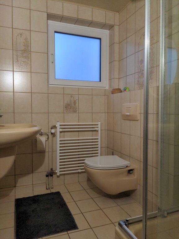 Downstairs bathroom with shower