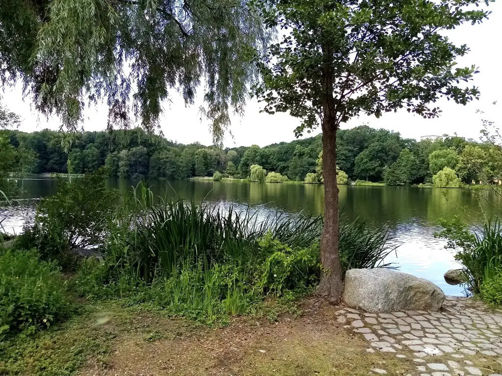  Harburger Stadtpark - 2.5km from our house