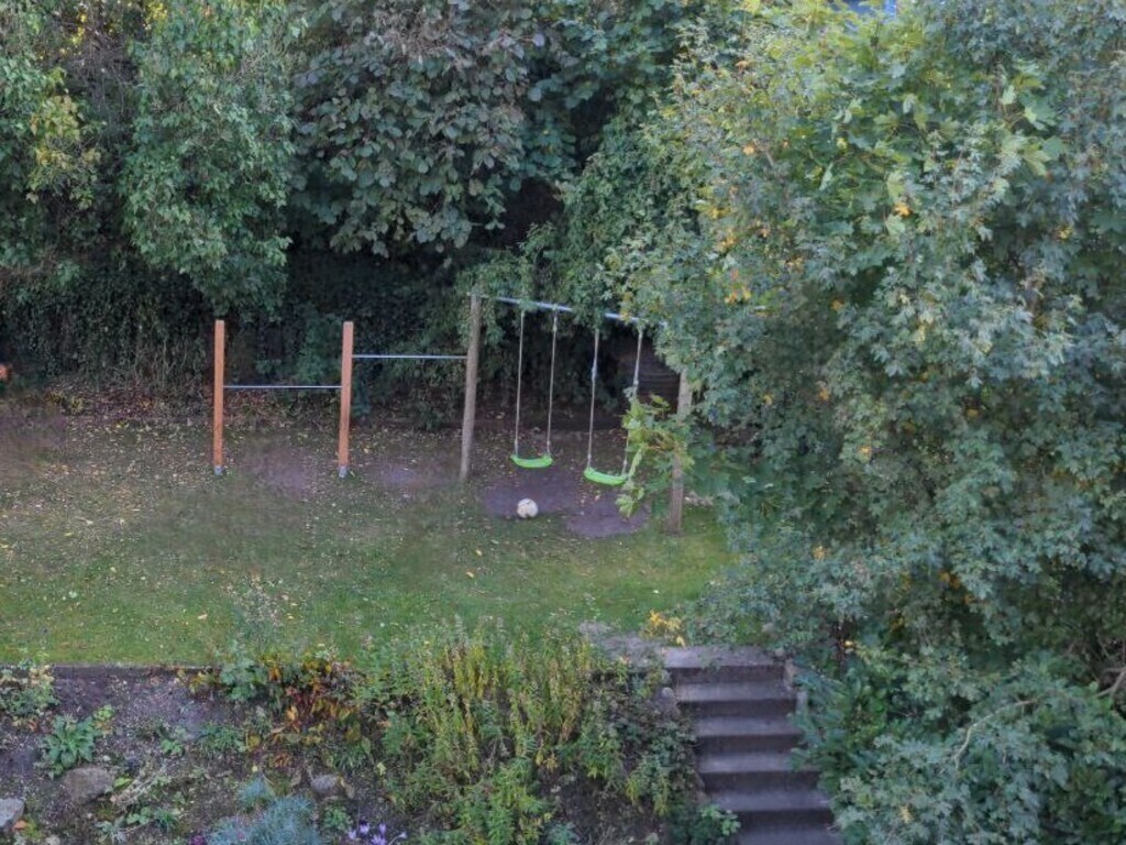 our garden behind the house