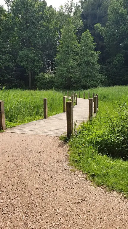 Harburger Stadtpark - 1km from our house