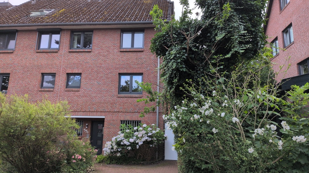 Front of the house 