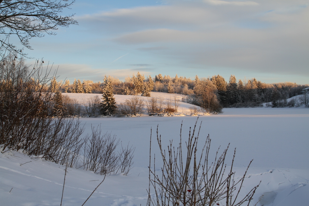 Nearby lake (unterer Eschenbacher Teich) in Winter