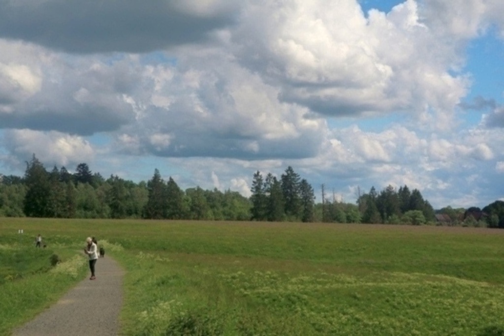 Pathway between the two lakes. 2 minutes from house
