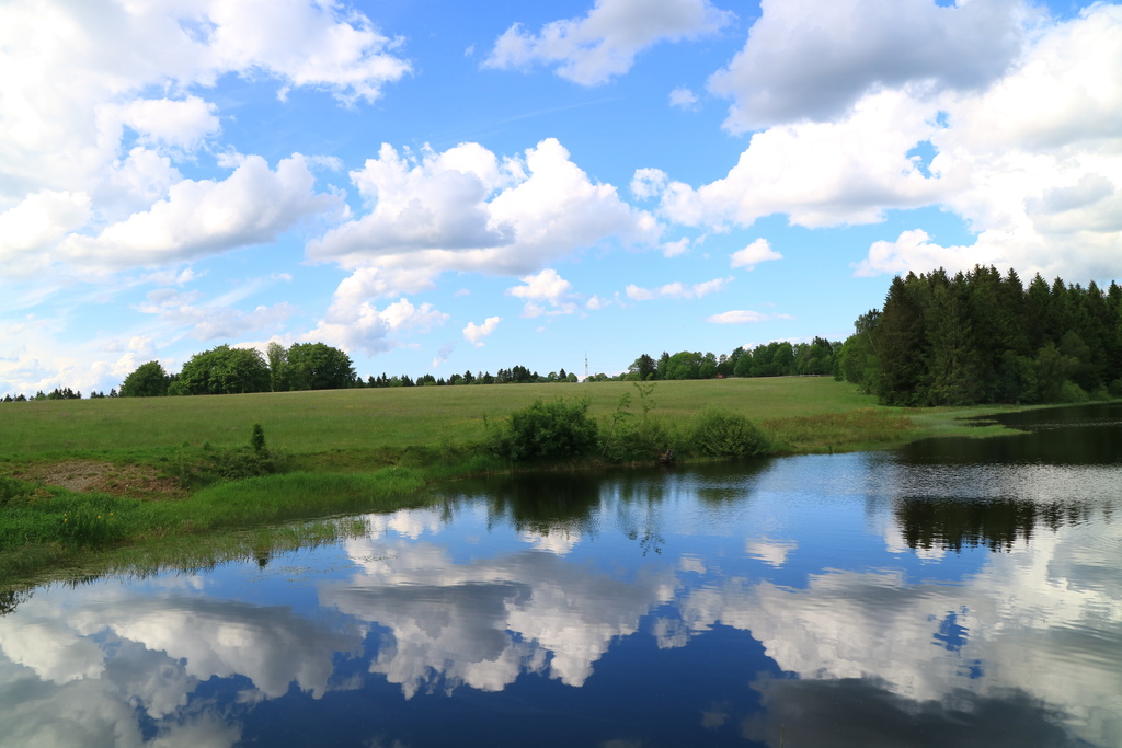 Lake in Summer (Langer Teich)