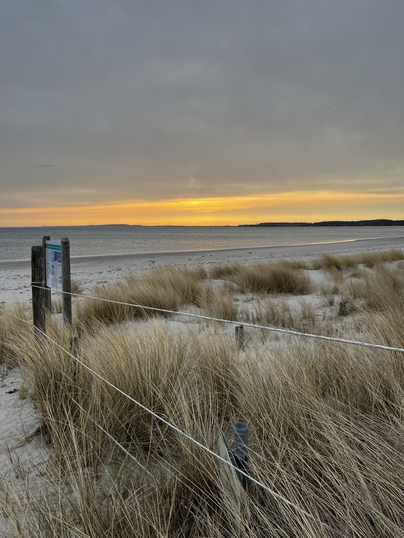 Early morning, nature reserve in walking distance 