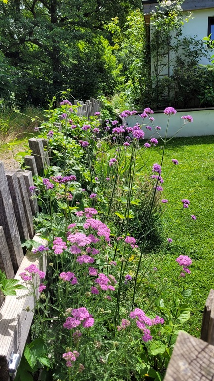 Gartenimpressionen