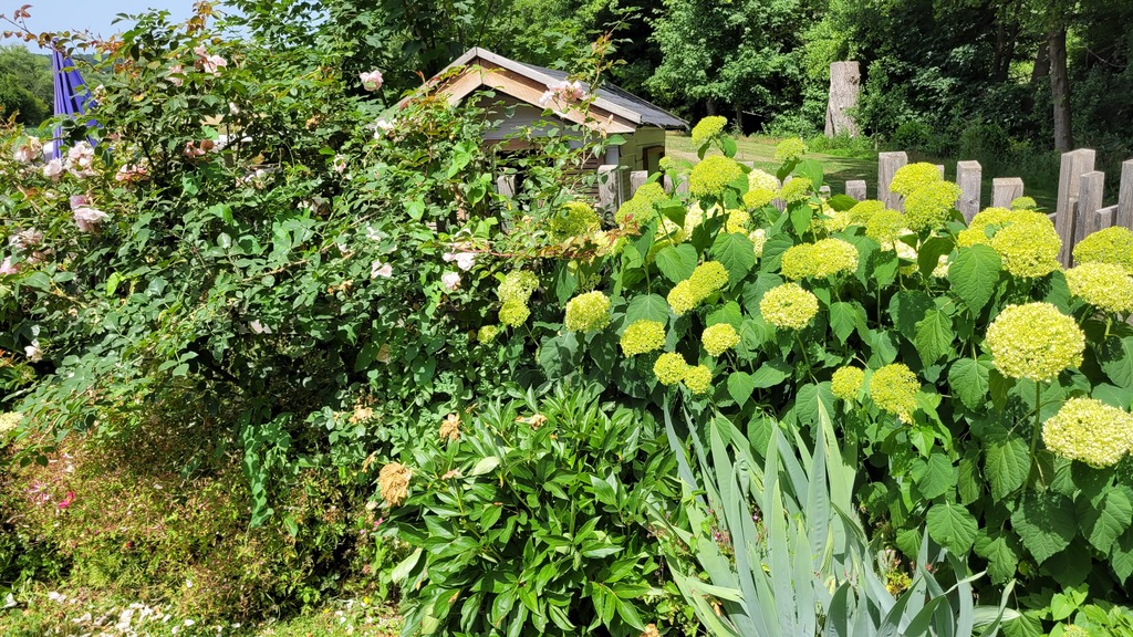 verstecktes Spielehaus