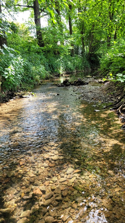 Herrlich erfrischend