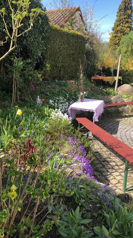 Part of our garden
