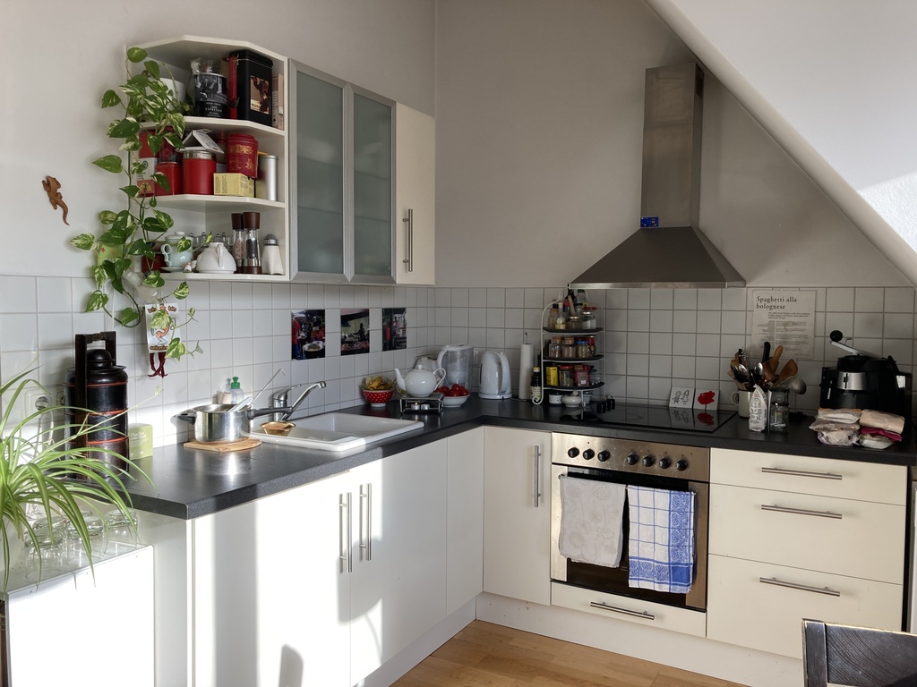 offene Küche I kitchen area