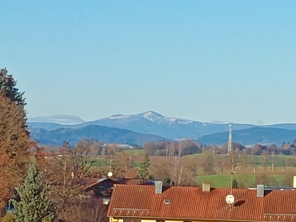 View through the kitchen window