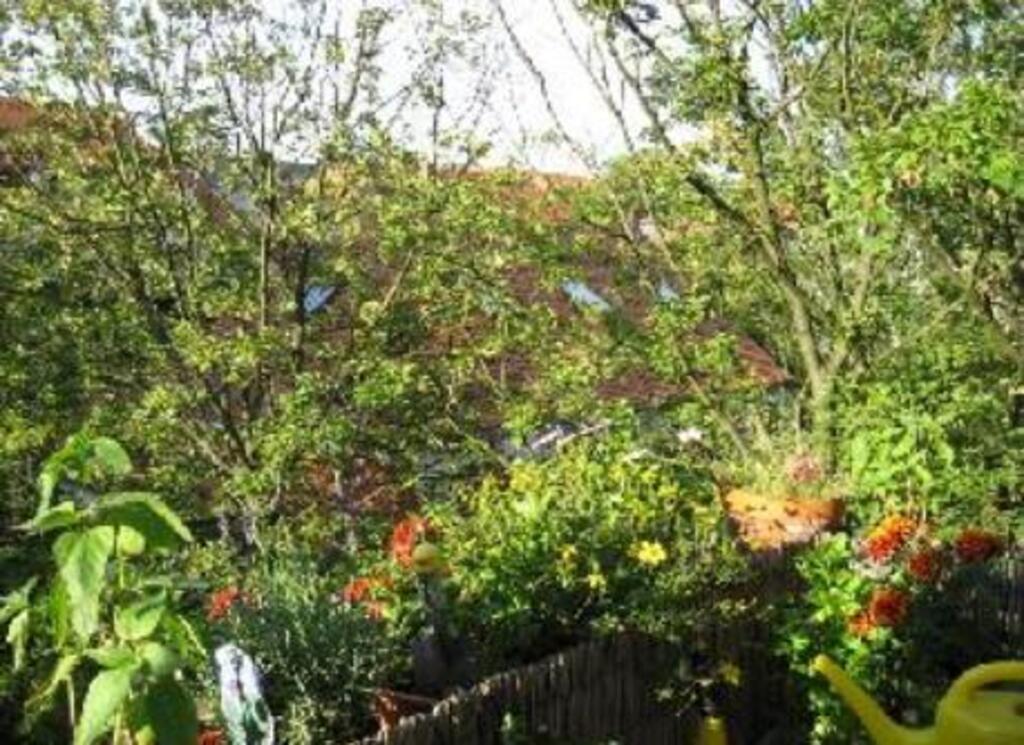 our balcony the view is beautiful!!