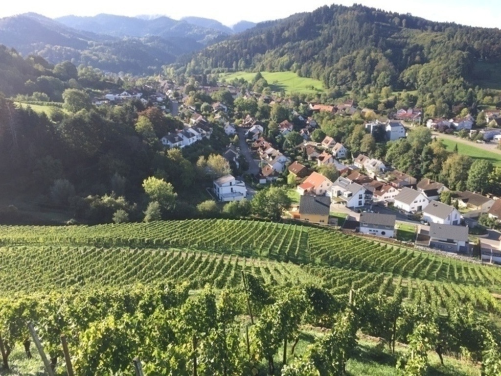 view on Sulzburg