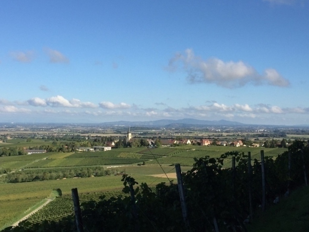 Rhine plain and Kaiserstuhl