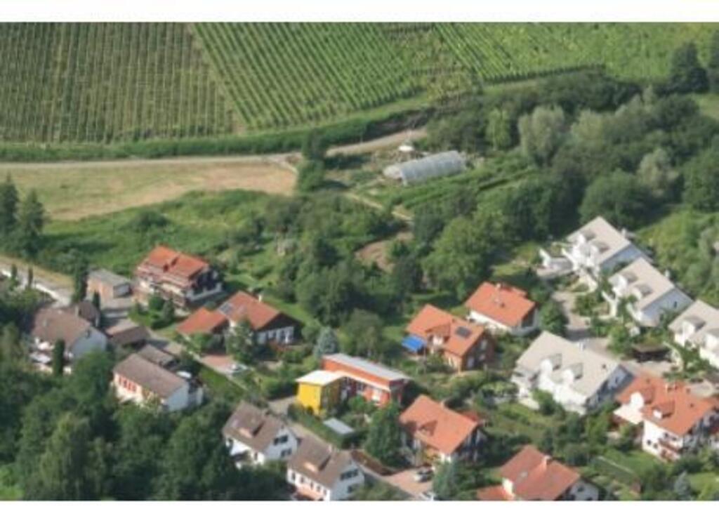 our home close to vineyards