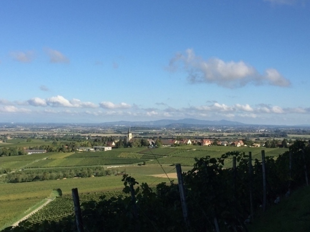 Rhine plain and Kaiserstuhl