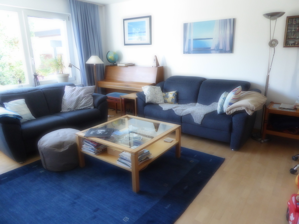 Wohnzimmer /living room