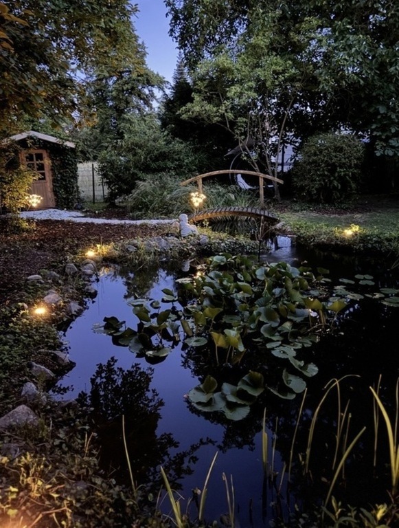 Our Pond by night