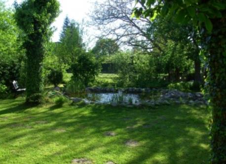 the pond