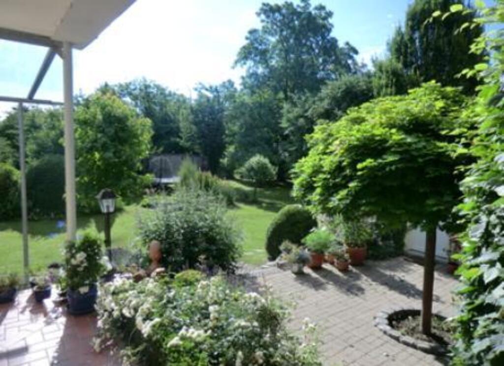 part of the garden in summer