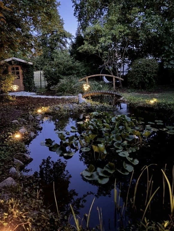 Our Pond by night