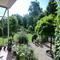 part of the garden in summer