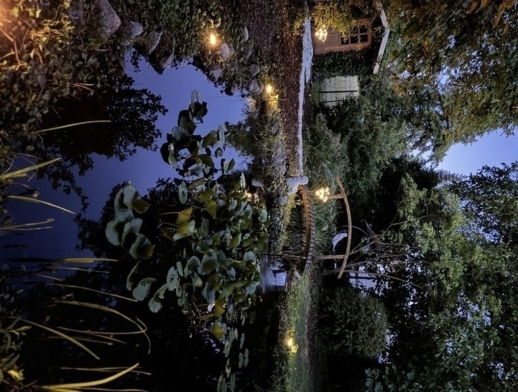 Our Pond by night