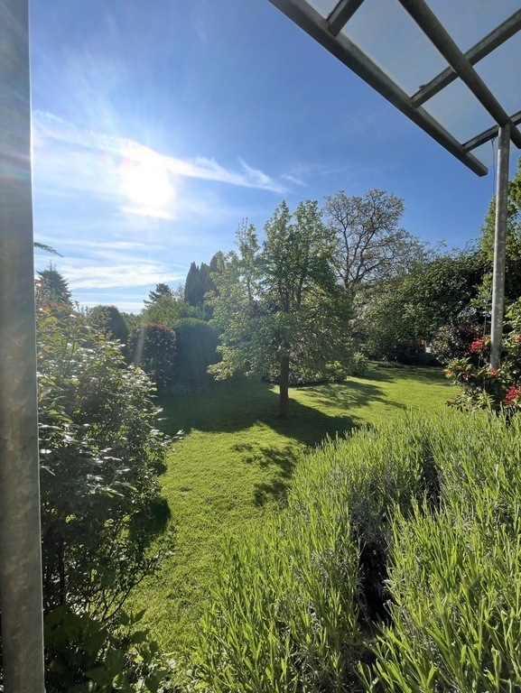 View from the terrace