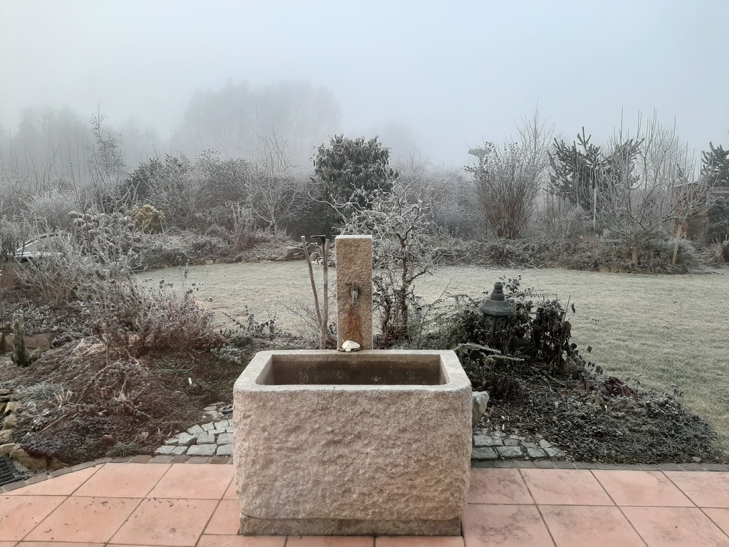 Winter impression garden west side