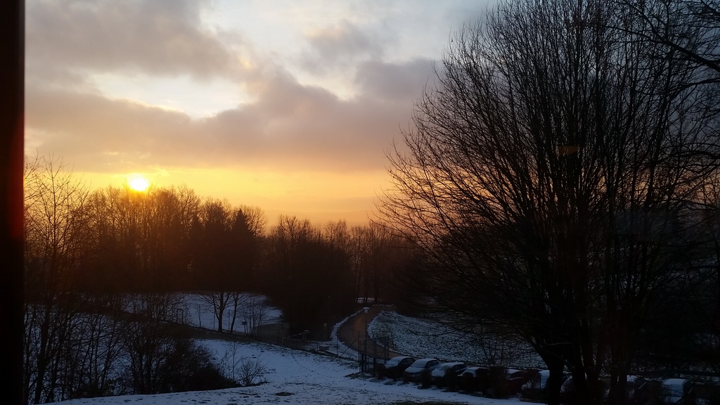 wintertime in the bavarian forest