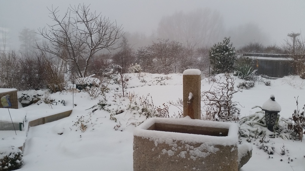 wintertime - view from the living room with a lot of snow